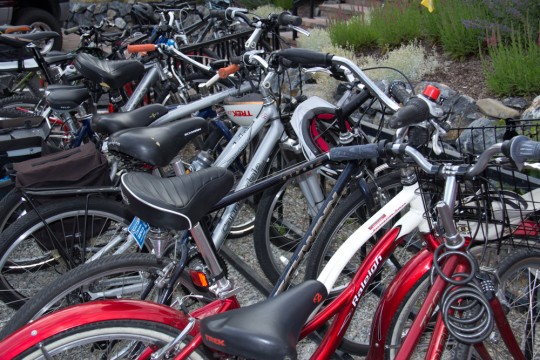 SVEA 130725 Picinic 042